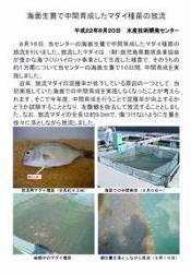 最新の研究の動き