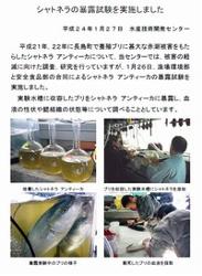 最新の研究の動き