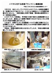 最新の研究の動き