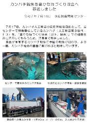 最新の研究の動き