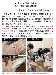 最新の研究の動き