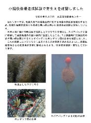 最新の研究の動き