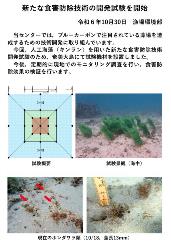 最新の研究の動き