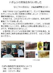 最新の研究の動き