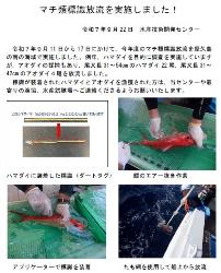 最新の研究の動き